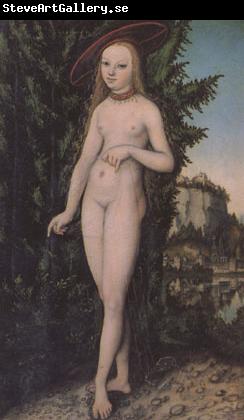 Lucas  Cranach Venus in a Landscape (mk05)